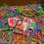 Milk Chocolate Bar with Strawberry and Rose